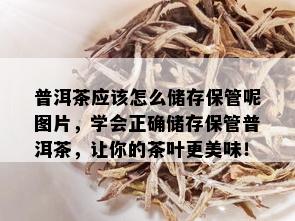 普洱茶应该怎么储存保管呢图片，学会正确储存保管普洱茶，让你的茶叶更美味！