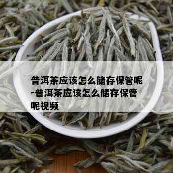 普洱茶应该怎么储存保管呢-普洱茶应该怎么储存保管呢视频