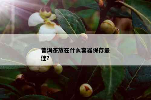 普洱茶放在什么容器保存更佳？