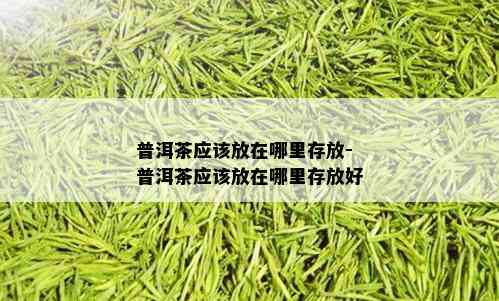 普洱茶应该放在哪里存放-普洱茶应该放在哪里存放好