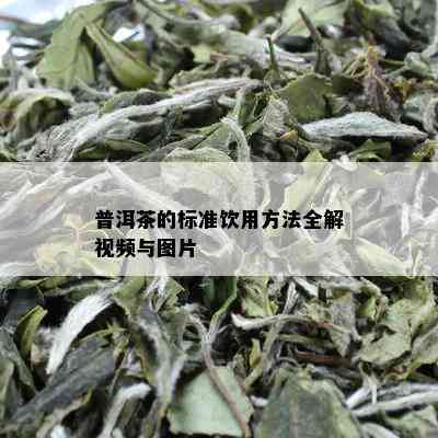 普洱茶的标准饮用方法全解视频与图片