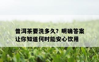 普洱茶要洗多久？明确答案让你知道何时能安心饮用