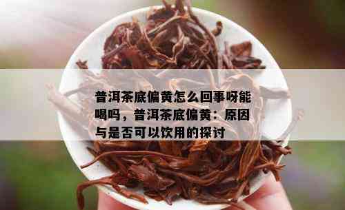 普洱茶底偏黄怎么回事呀能喝吗，普洱茶底偏黄：原因与是否可以饮用的探讨