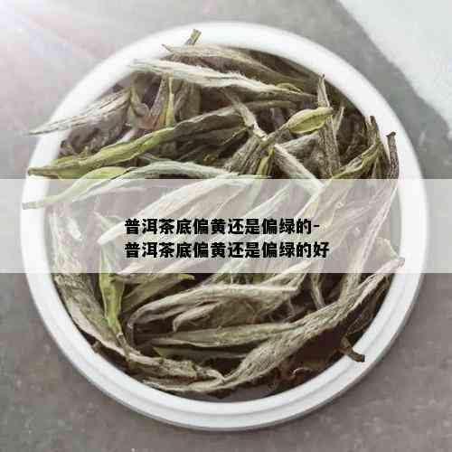 普洱茶底偏黄还是偏绿的-普洱茶底偏黄还是偏绿的好