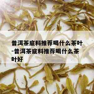 普洱茶底料推荐喝什么茶叶-普洱茶底料推荐喝什么茶叶好