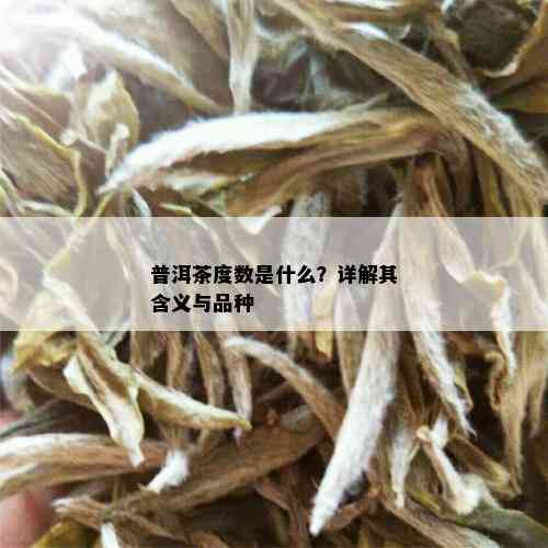 普洱茶度数是什么？详解其含义与品种