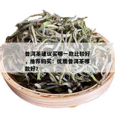 普洱茶建议买哪一款比较好，推荐购买：优质普洱茶哪款好？