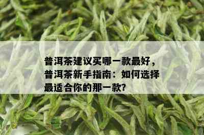 普洱茶建议买哪一款更好，普洱茶新手指南：如何选择最适合你的那一款？