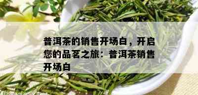 普洱茶的销售开场白，开启您的品茗之旅：普洱茶销售开场白