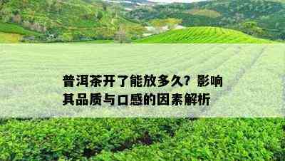 普洱茶开了能放多久？影响其品质与口感的因素解析