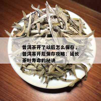 普洱茶开了以后怎么保存，普洱茶开后保存攻略：延长茶叶寿命的秘诀