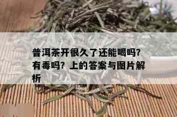 普洱茶开很久了还能喝吗？有吗？上的答案与图片解析