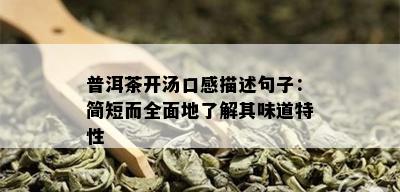 普洱茶开汤口感描述句子：简短而全面地了解其味道特性