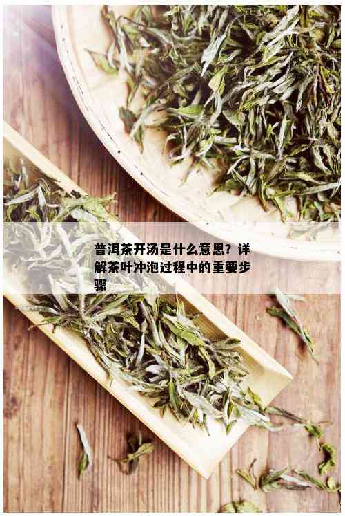 普洱茶开汤是什么意思？详解茶叶冲泡过程中的重要步骤