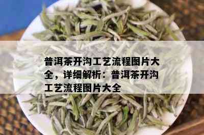 普洱茶开沟工艺流程图片大全，详细解析：普洱茶开沟工艺流程图片大全