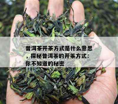 普洱茶开茶方式是什么意思，探秘普洱茶的开茶方式：你不知道的秘密