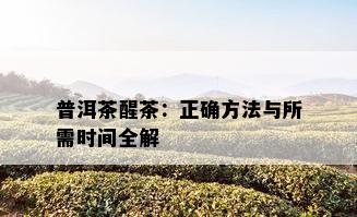 普洱茶醒茶：正确方法与所需时间全解