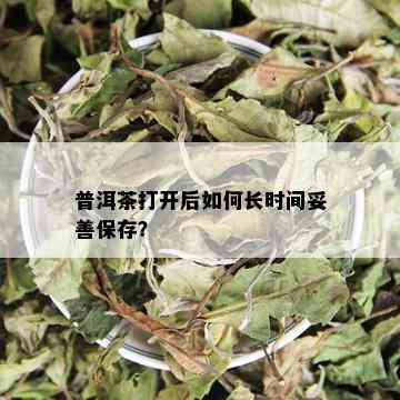 普洱茶打开后如何长时间妥善保存？