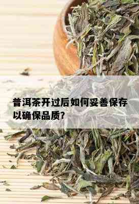 普洱茶开过后如何妥善保存以确保品质？