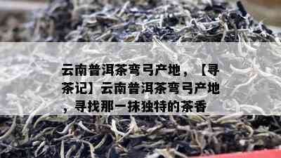 云南普洱茶弯弓产地，【寻茶记】云南普洱茶弯弓产地，寻找那一抹独特的茶香