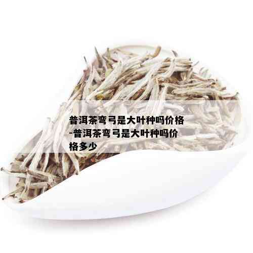 普洱茶弯弓是大叶种吗价格-普洱茶弯弓是大叶种吗价格多少