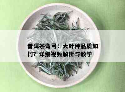 普洱茶弯弓：大叶种品质如何？详细视频解析与教学