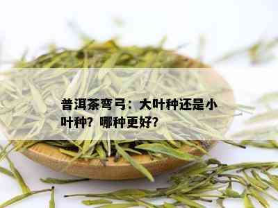 普洱茶弯弓：大叶种还是小叶种？哪种更好？