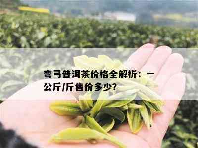 弯弓普洱茶价格全解析：一公斤/斤售价多少？