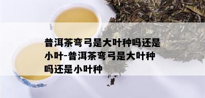 普洱茶弯弓是大叶种吗还是小叶-普洱茶弯弓是大叶种吗还是小叶种