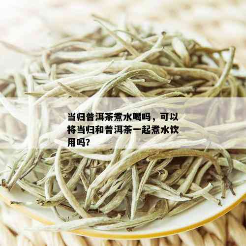 当归普洱茶煮水喝吗，可以将当归和普洱茶一起煮水饮用吗？