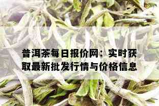 普洱茶每日报价网：实时获取最新批发行情与价格信息