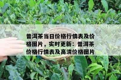 普洱茶当日价格行情表及价格图片，实时更新：普洱茶价格行情表及高清价格图片