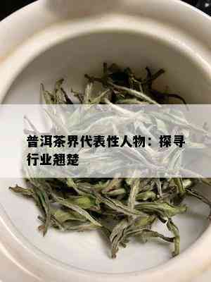 普洱茶界代表性人物：探寻行业翘楚