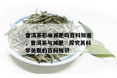 普洱茶影响减肥吗百科知道，普洱茶与减肥：探究其科学关联的百科知识