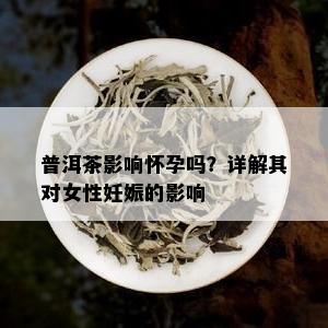 普洱茶影响怀孕吗？详解其对女性妊娠的影响