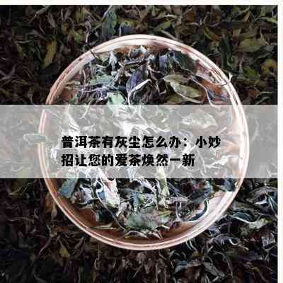 普洱茶有灰尘怎么办：小妙招让您的爱茶焕然一新