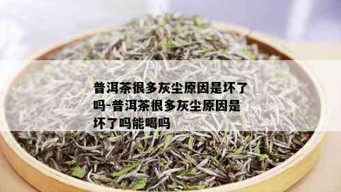 普洱茶很多灰尘原因是坏了吗-普洱茶很多灰尘原因是坏了吗能喝吗