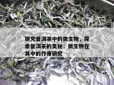 研究普洱茶中的微生物，探索普洱茶的奥秘：微生物在其中的作用研究