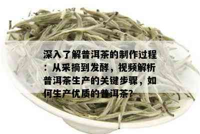 深入了解普洱茶的制作过程：从采摘到发酵，视频解析普洱茶生产的关键步骤，如何生产优质的普洱茶？