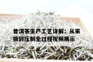 普洱茶生产工艺详解：从采摘到压制全过程视频展示