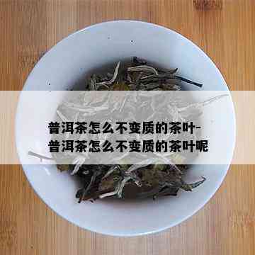 普洱茶怎么不变质的茶叶-普洱茶怎么不变质的茶叶呢