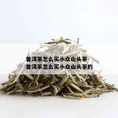 普洱茶怎么买小众山头茶-普洱茶怎么买小众山头茶的