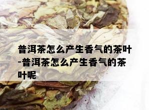 普洱茶怎么产生香气的茶叶-普洱茶怎么产生香气的茶叶呢