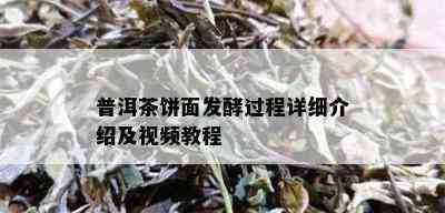 普洱茶饼面发酵过程详细介绍及视频教程