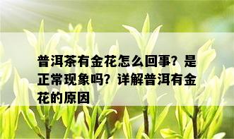 普洱茶有金花怎么回事？是正常现象吗？详解普洱有金花的原因