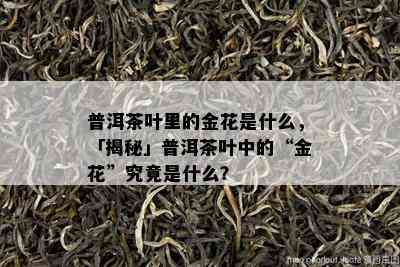 普洱茶叶里的金花是什么，「揭秘」普洱茶叶中的“金花”究竟是什么？