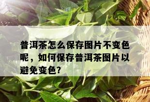 普洱茶怎么保存图片不变色呢，如何保存普洱茶图片以避免变色？