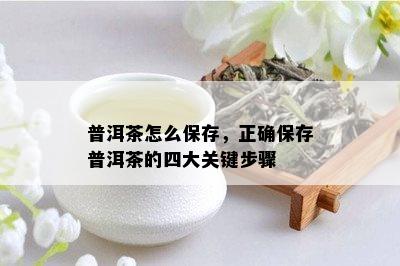 普洱茶怎么保存，正确保存普洱茶的四大关键步骤