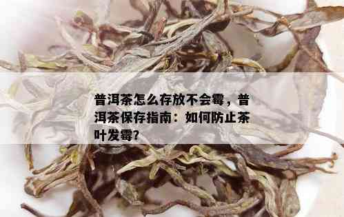 普洱茶怎么存放不会霉，普洱茶保存指南：如何防止茶叶发霉？