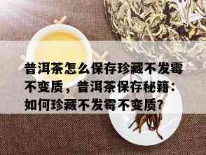 普洱茶怎么保存珍藏不发霉不变质，普洱茶保存秘籍：如何珍藏不发霉不变质？